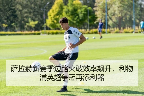 sa-la-he-xin-sai-ji-bian-lu-tu-po-xiao-lv-biao-sheng-li-wu-pu-ying-chao-zheng-guan-zai-tian-li-qi-3-305.jpg