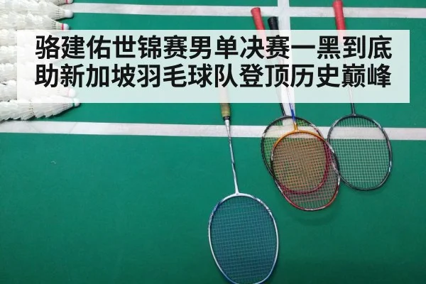 badminton final match